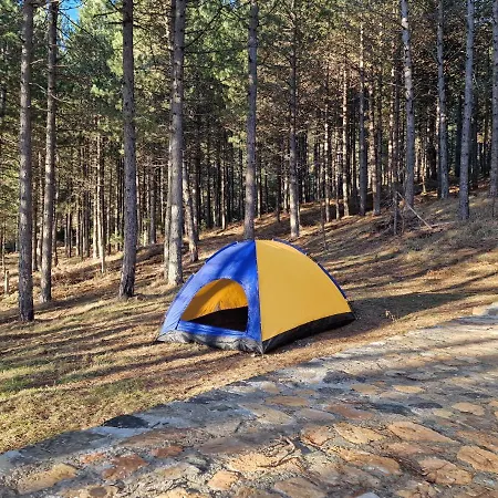 Bujtinat Skenderi 2 Gjinar