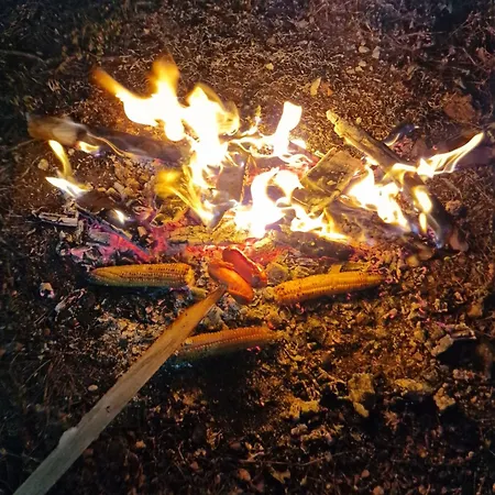 Bujtinat Skenderi 2 Casa de Férias *