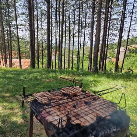 Bujtinat Skenderi 2 別荘 *