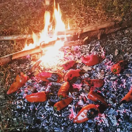 Bujtinat Skenderi 2 Gjinar