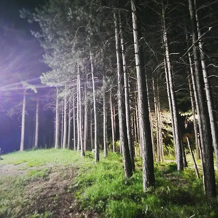 Bujtinat Skenderi 2 Casa de Férias Gjinar