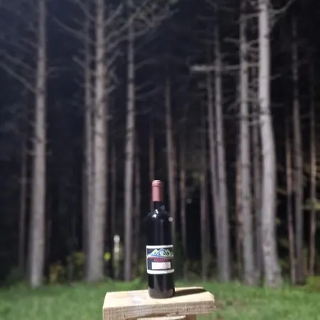 Bujtinat Skenderi 2 別荘 Gjinar