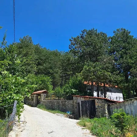 Bujtinat Skenderi 2 Gjinar