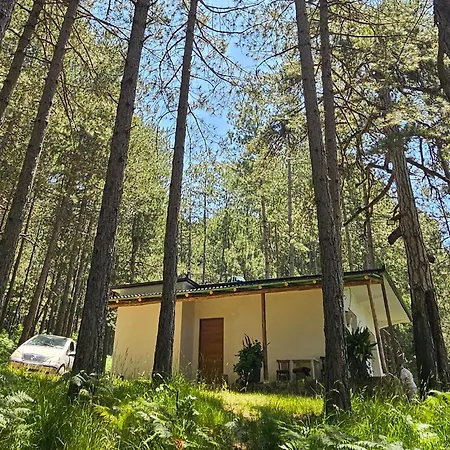 Casa de Férias Bujtinat Skenderi 2 Gjinar