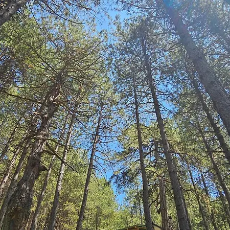 Bujtinat Skenderi 2 別荘 *