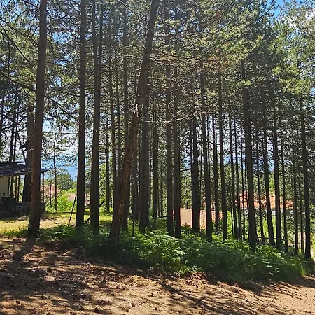 Bujtinat Skenderi 2 別荘 Gjinar