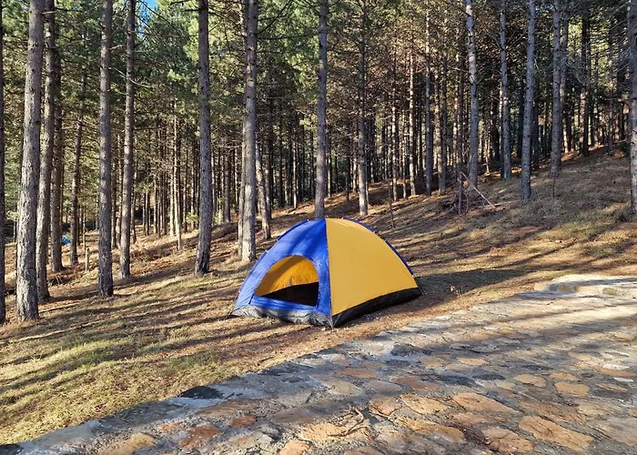 Bujtinat Skenderi 2 Gjinar