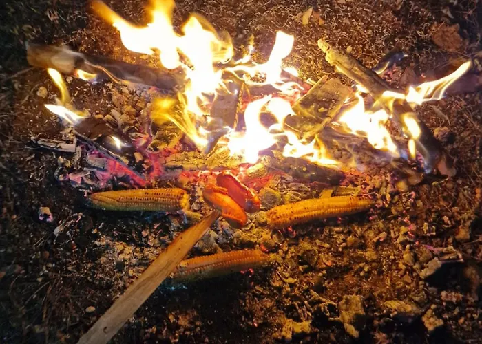 Bujtinat Skenderi 2 度假居 *