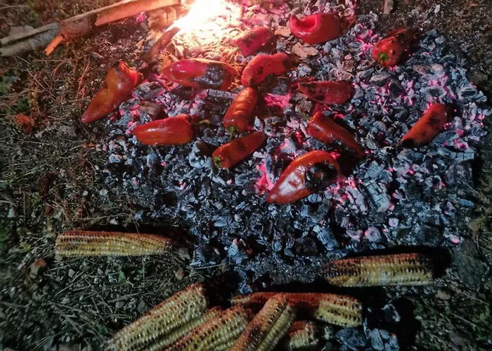 Bujtinat Skenderi 2 *