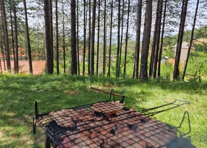 Bujtinat Skenderi 2 度假居 *