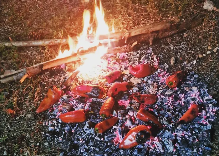 Bujtinat Skenderi 2 Gjinar