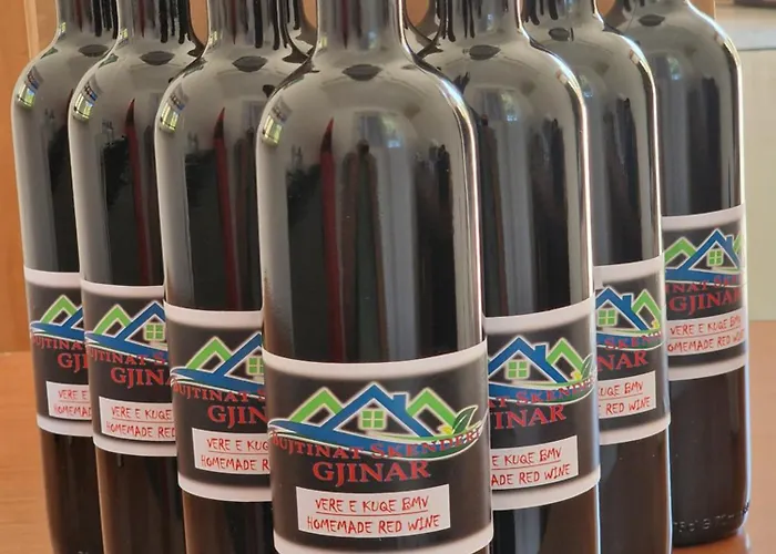 Bujtinat Skenderi 2 度假居 Gjinar