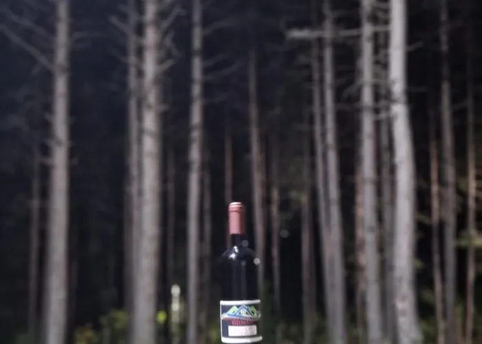 Bujtinat Skenderi 2 度假居 Gjinar