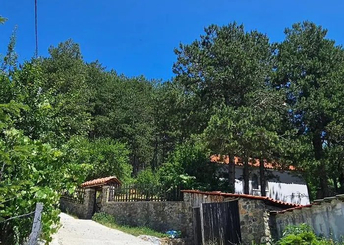 Bujtinat Skenderi 2 Gjinar