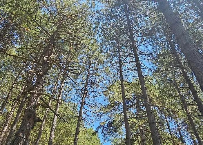 Bujtinat Skenderi 2 度假居 *