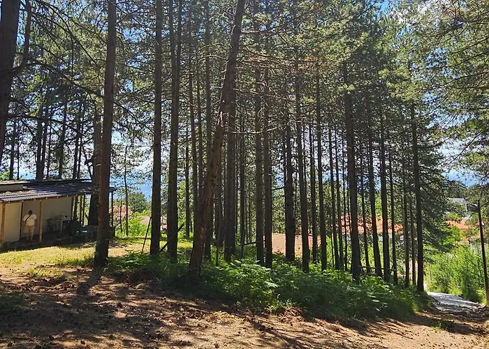 Bujtinat Skenderi 2 度假居 Gjinar