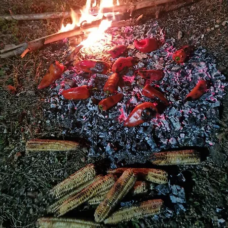 Bujtinat Skenderi 2 *