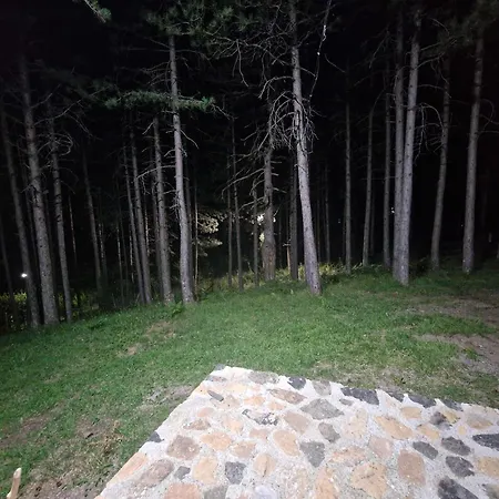 Bujtinat Skenderi 2