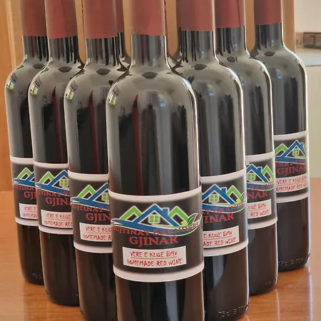 Bujtinat Skenderi 2 بيت للعطل Gjinar