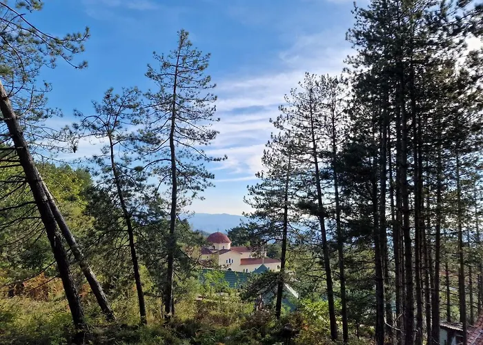 Bujtinat Skenderi 2 *