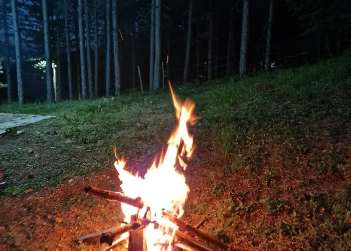 Vakantiehuis Bujtinat Skenderi 2 *